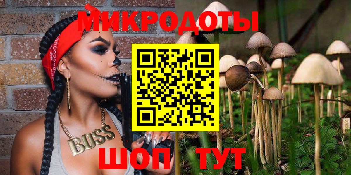 Галлюциногенные грибы Psilocybe  Вход с VPN  Гатчина 